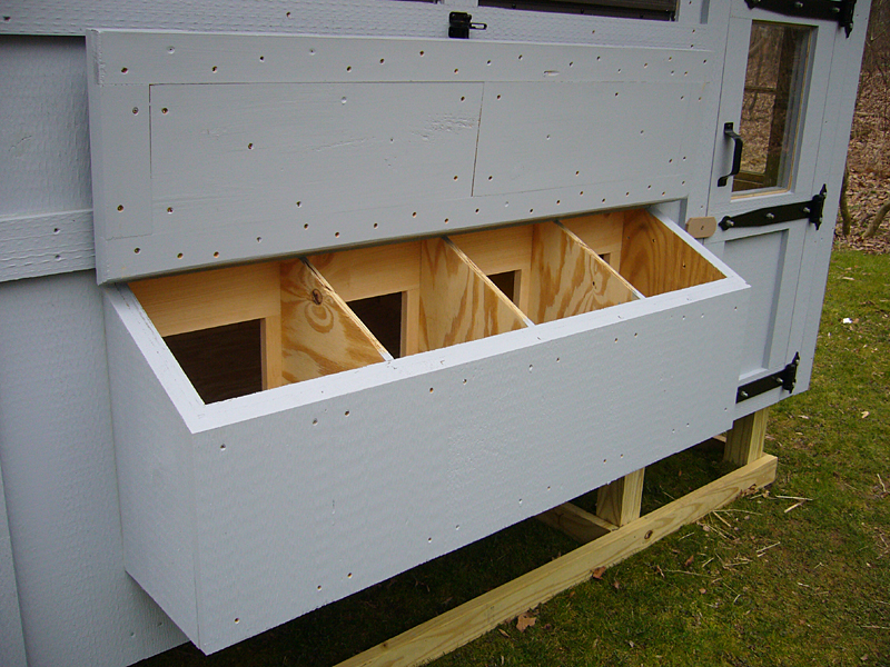 Information Chicken coop nesting box ideas ~ nellcolas