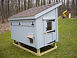 Back View of Chicken Coop