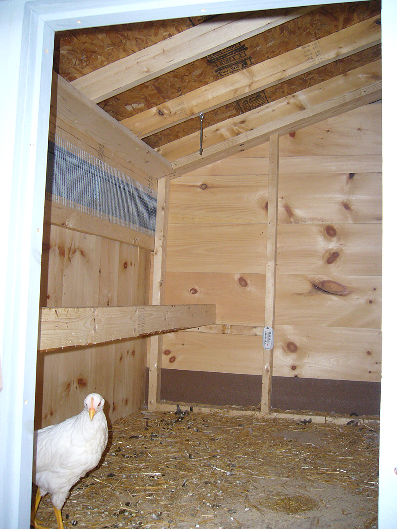 Free Chicken Coop Plans &amp; Coop Construction Details
